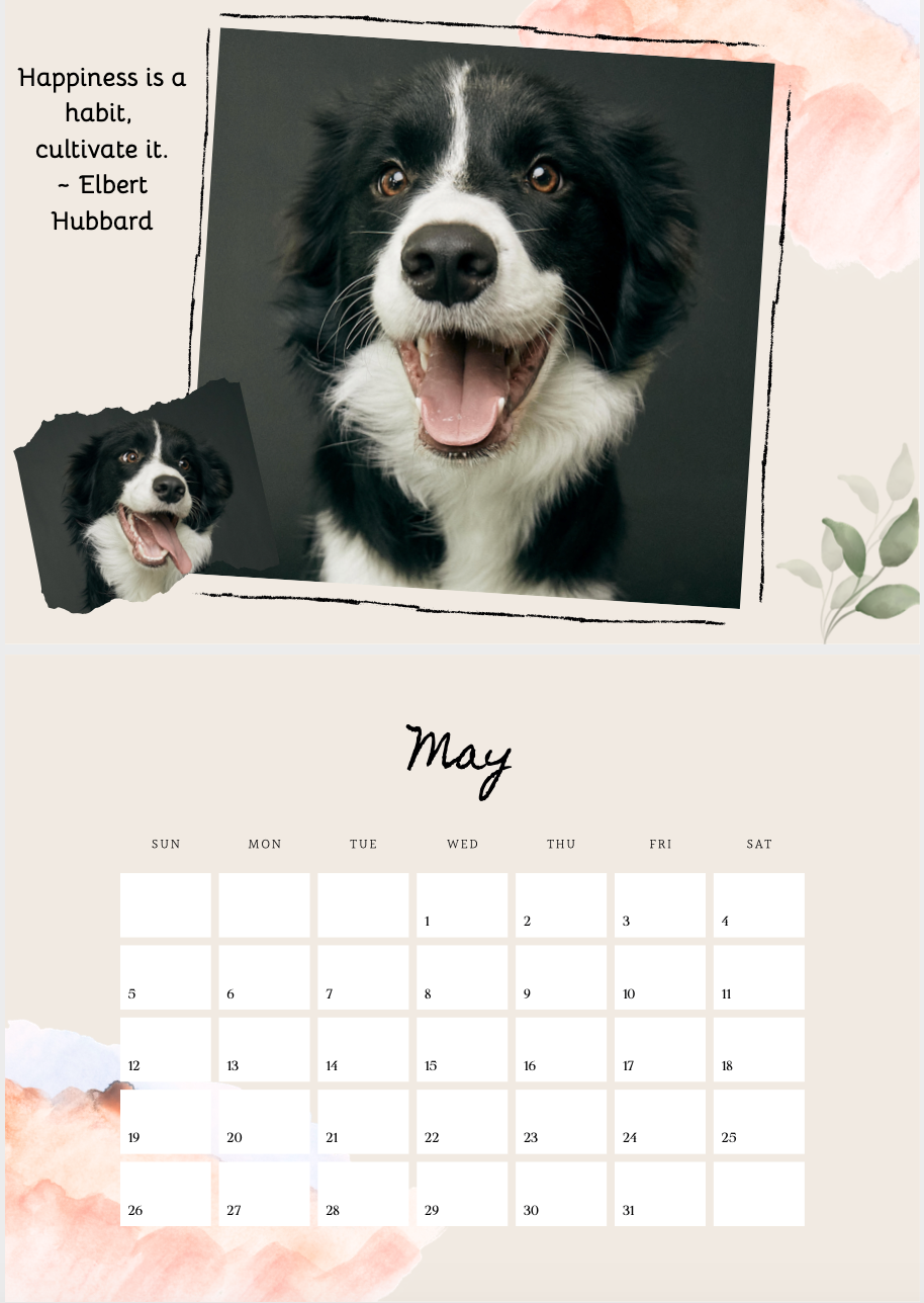 Paw & Order + The Good Warrior Annual Calendar