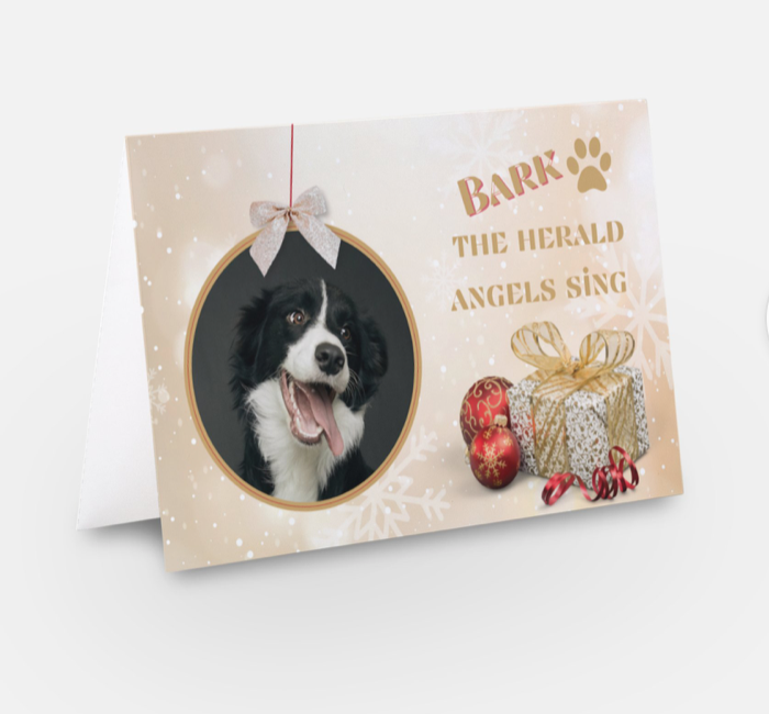 Paw & Order Christmas Cards