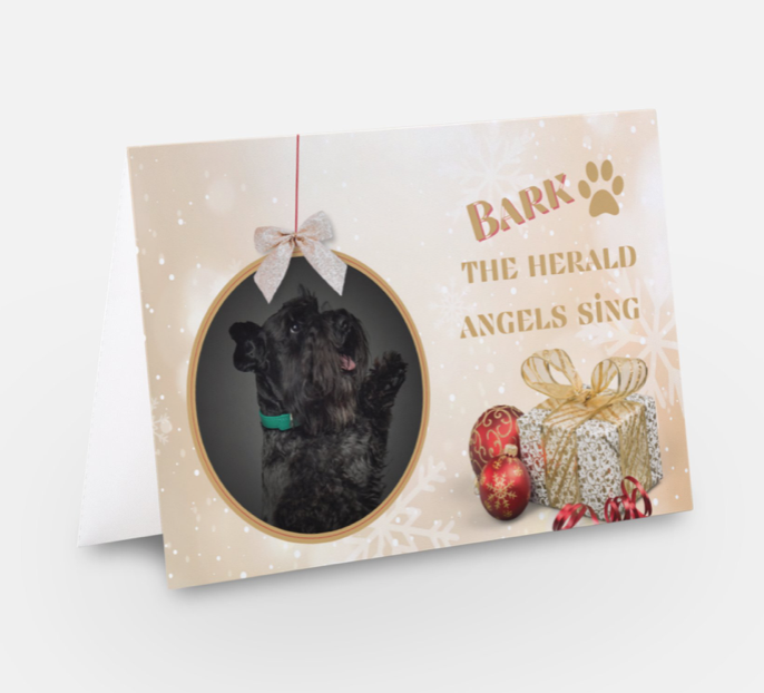 Paw Order Christmas Cards